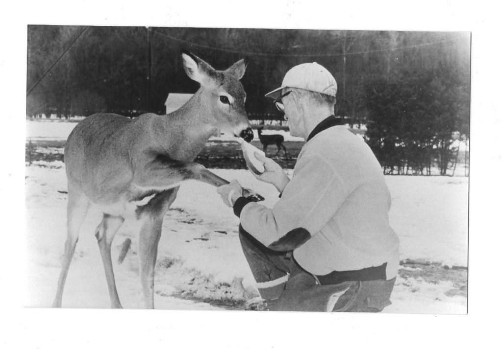 Slim Croyle, deer whisperer, courtesy of The Potter County Historical Society, Coudersport