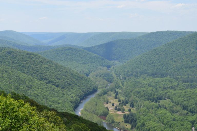 The Mid State Trail - PA’s 2019 Trail of the Year - traverses the PA Wilds