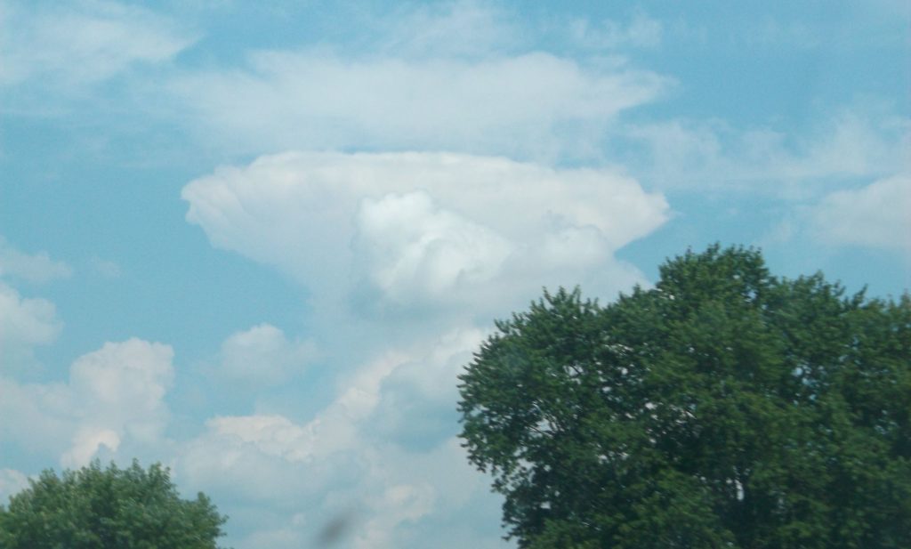 Lenticular Clouds can sometimes look like unidentified flying objects. Photo by Lou Bernard.
