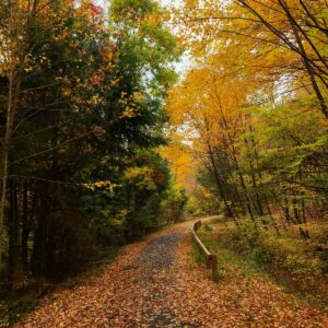 West Creek Rail Trail PA Wilds