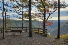 Barbour Rock Trail Photo by Morgan Hilliard PA Wilds