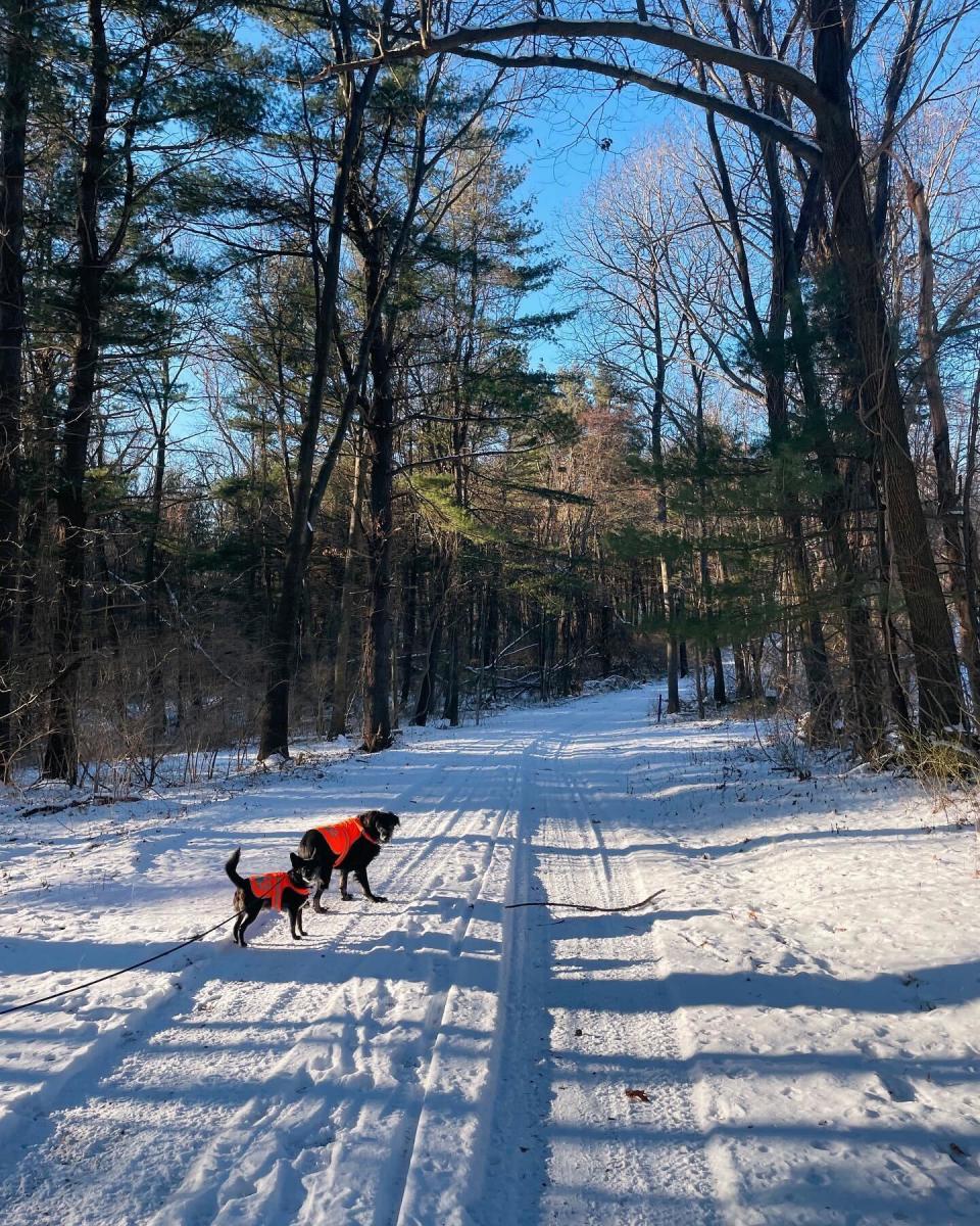 winter walk in the PA Wilds photo by Ellen Matis
