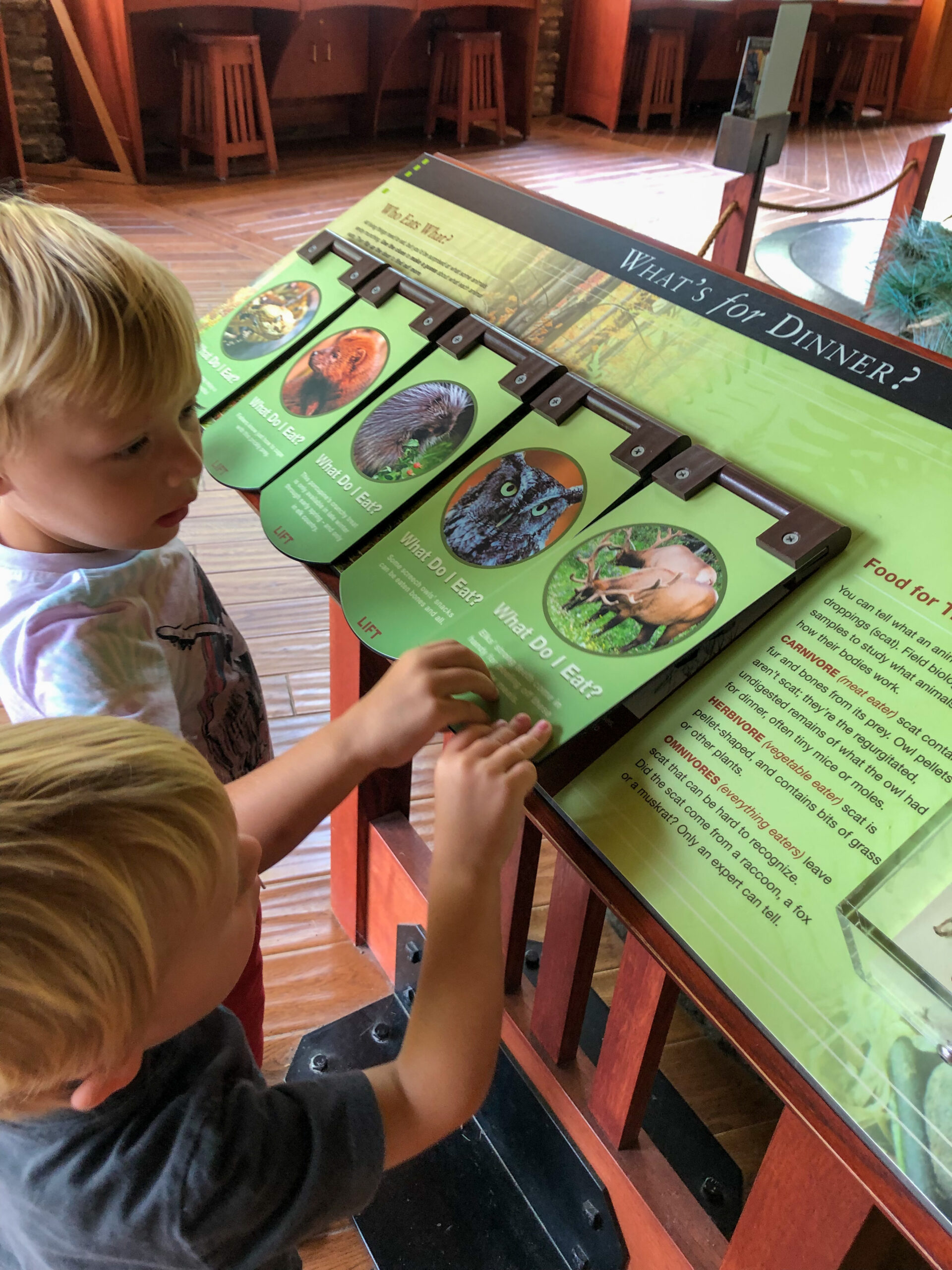 Wilds Child: The Elk Country Visitor Center - Pennsylvania Wilds