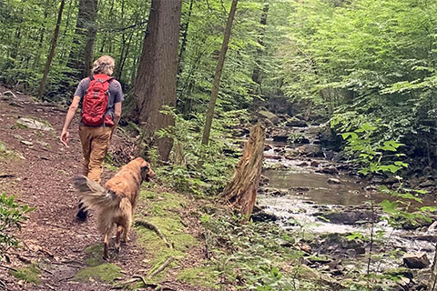 4 of the Best Hiking Trails and Walking Paths Near Butler, PA – Mike Kelly  Hyundai Blog